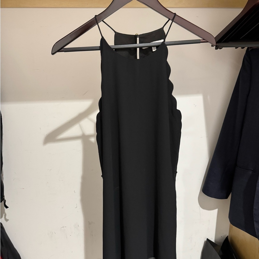 Naked Zebra Black Mini Dress